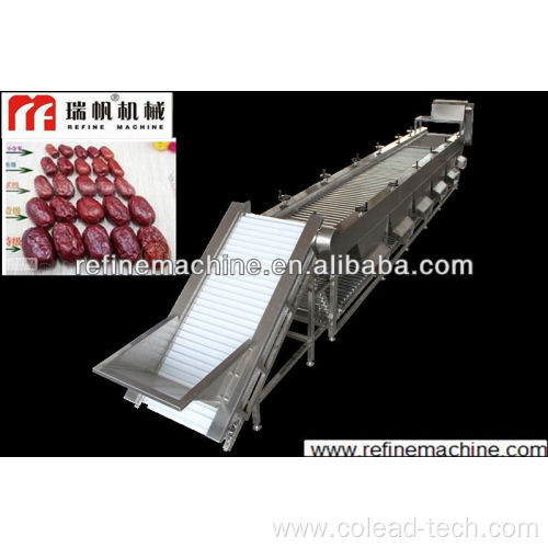 Palm dates sorting machine dates Colead